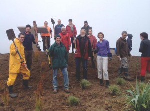 Spinnaker Planting Day
