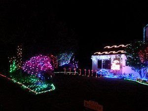 Garden Lighting